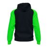 Veste à capuche Academy IV - Noir / Vert